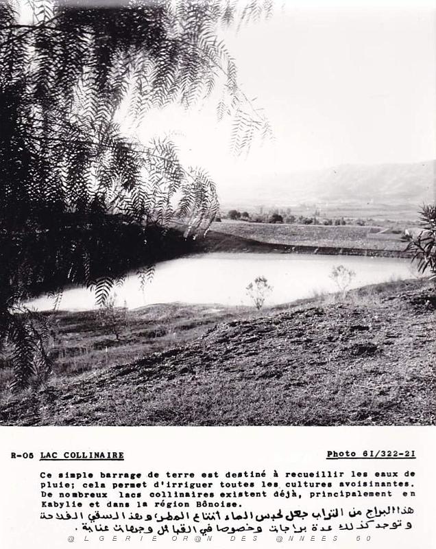 Algerie propagande 033.jpg